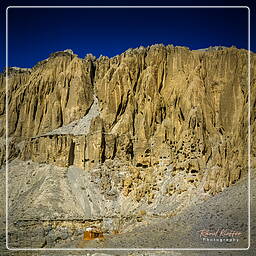 Dri, Mustang (176)