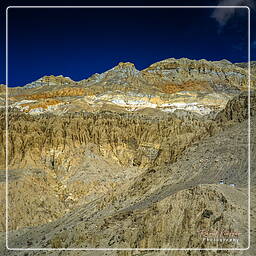 Dri, Mustang (177)