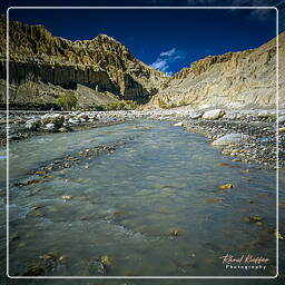 Dri, Mustang (178)
