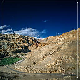 Surkhan, Mustang (180)