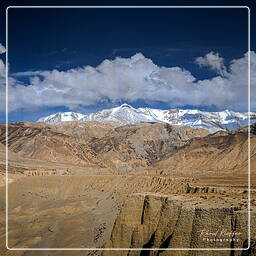 Surkhan, Mustang (185)