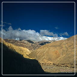 Surkhan, Mustang (188)