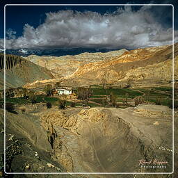 Yara, Mustang (204)