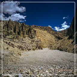 Lori Gompa, Mustang (208)