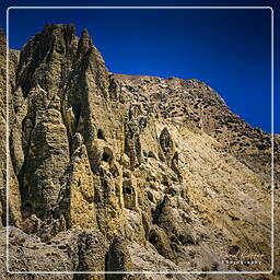 Lori Gompa, Mustang (209)