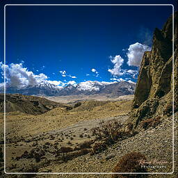 Lori Gompa, Mustang (210)