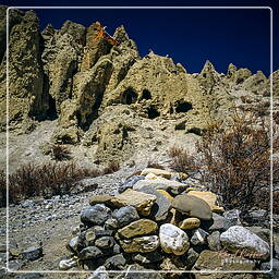 Lori Gompa, Mustang (211)