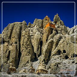 Lori Gompa, Mustang (212)