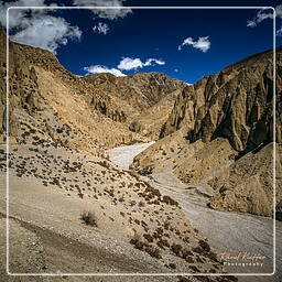 Lori Gompa, Mustang (213)