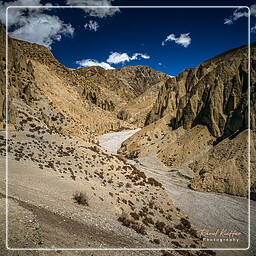 Mustang (213) Lori Gompa