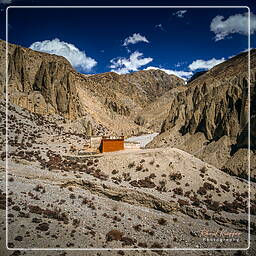 Lori Gompa, Mustang (214)