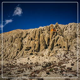 Lori Gompa, Mustang (215)