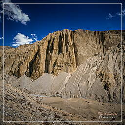 Lori Gompa, Mustang (216)