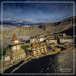 Tangya, Mustang (224)