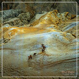 Tholung, Mustang (235)