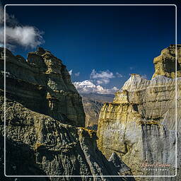 Nilgiri (7061m), Mustang (241)