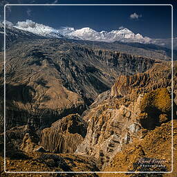 Nilgiri (7061m), Mustang (249)