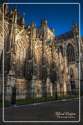 ’s-Hertogenbosch (3) Cattedrale di San Giovanni Evangelista