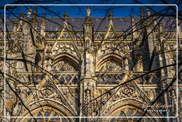 ’s-Hertogenbosch (7) Sankt-Johannes-Kathedrale