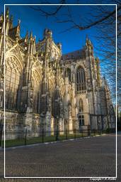 ’s-Hertogenbosch (8) Cattedrale di San Giovanni Evangelista