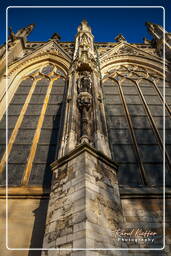 Cathedral Church of Saint John, ’s-Hertogenbosch (9)