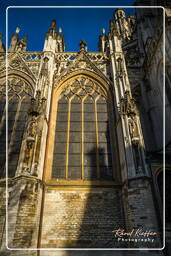 Bois-le-Duc (11) Cathédrale-basilique Saint-Jean-l’Évangéliste