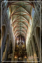 ’s-Hertogenbosch (18) Cathedral Church of Saint John