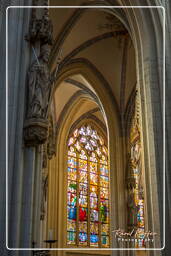 Bois-le-Duc (19) Cathédrale-basilique Saint-Jean-l’Évangéliste