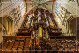 Bois-le-Duc (20) Cathédrale-basilique Saint-Jean-l’Évangéliste