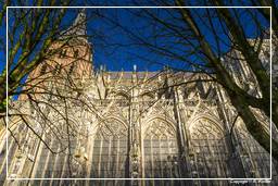 ’s-Hertogenbosch (27) Cattedrale di San Giovanni Evangelista