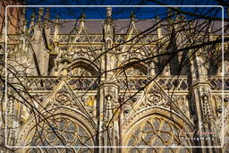 ’s-Hertogenbosch (28) Sankt-Johannes-Kathedrale