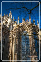 ’s-Hertogenbosch (37) Cattedrale di San Giovanni Evangelista