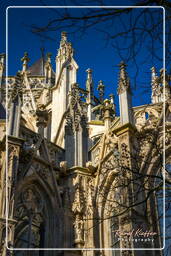 ’s-Hertogenbosch (38) Cattedrale di San Giovanni Evangelista