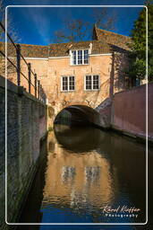 Binnendieze, ’s-Hertogenbosch (42)