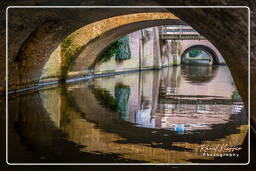 Binnendieze, ’s-Hertogenbosch (43)