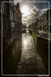 Delft (9)