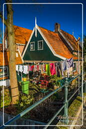 Edam (1)