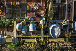 Edam (34)