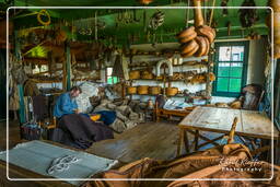 Enkhuizen (100) Zuiderzeemuseum