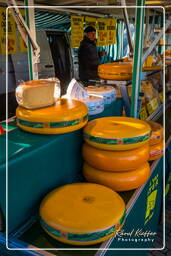 Gouda Cheese, Gouda (35)