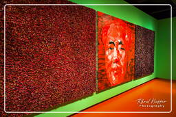 Groninger Museum, Groningen (96)