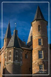 Castello di Heeswijk (8)