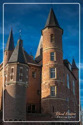 Heeswijk Castle (9)