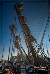 Harbour, Hoorn (13)