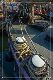 Harbour, Hoorn (14)