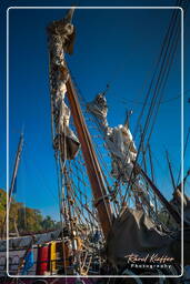 Harbour, Hoorn (17)