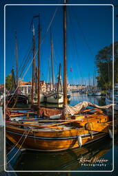 Hoorn (19) Harbour