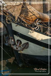 Harbour, Hoorn (21)