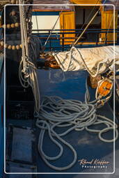 Harbour, Hoorn (27)