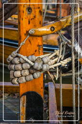 Harbour, Hoorn (34)